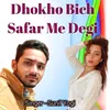 About Dhokho Bich Safar Me Degi Song